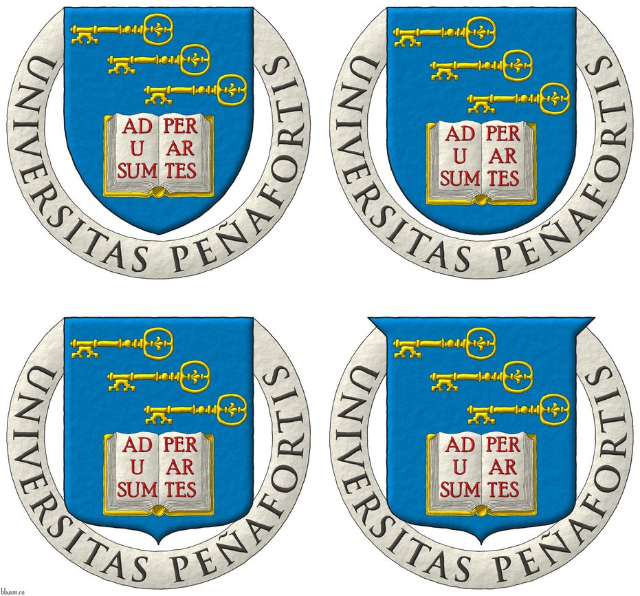 Azure, in chief three keys in bend, fesswise, to dexter, facing downwards Or, in base an open book Argent, garnished Or, the pages inscribed Ad usum per artes Gules. Motto: Universitas Peafortis.