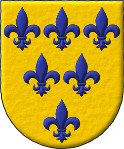 Tu blasn. Tu signo perdura