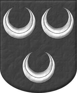 Tu blasn. Tu signo perdura