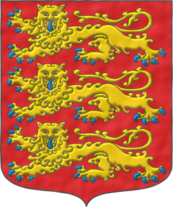 Tu blasn. Tu signo perdura