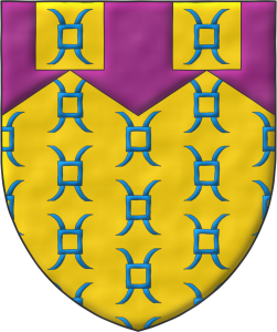 Tu blasn. Tu signo perdura