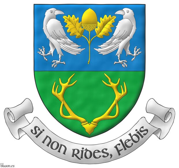 Party per fess: 1 Azure, an acorn leaved and slipped Or, between two ravens addorsed and regardant Argent; 2 Vert, a stag's massacre Or. Motto: �Si non rides, flebis�.