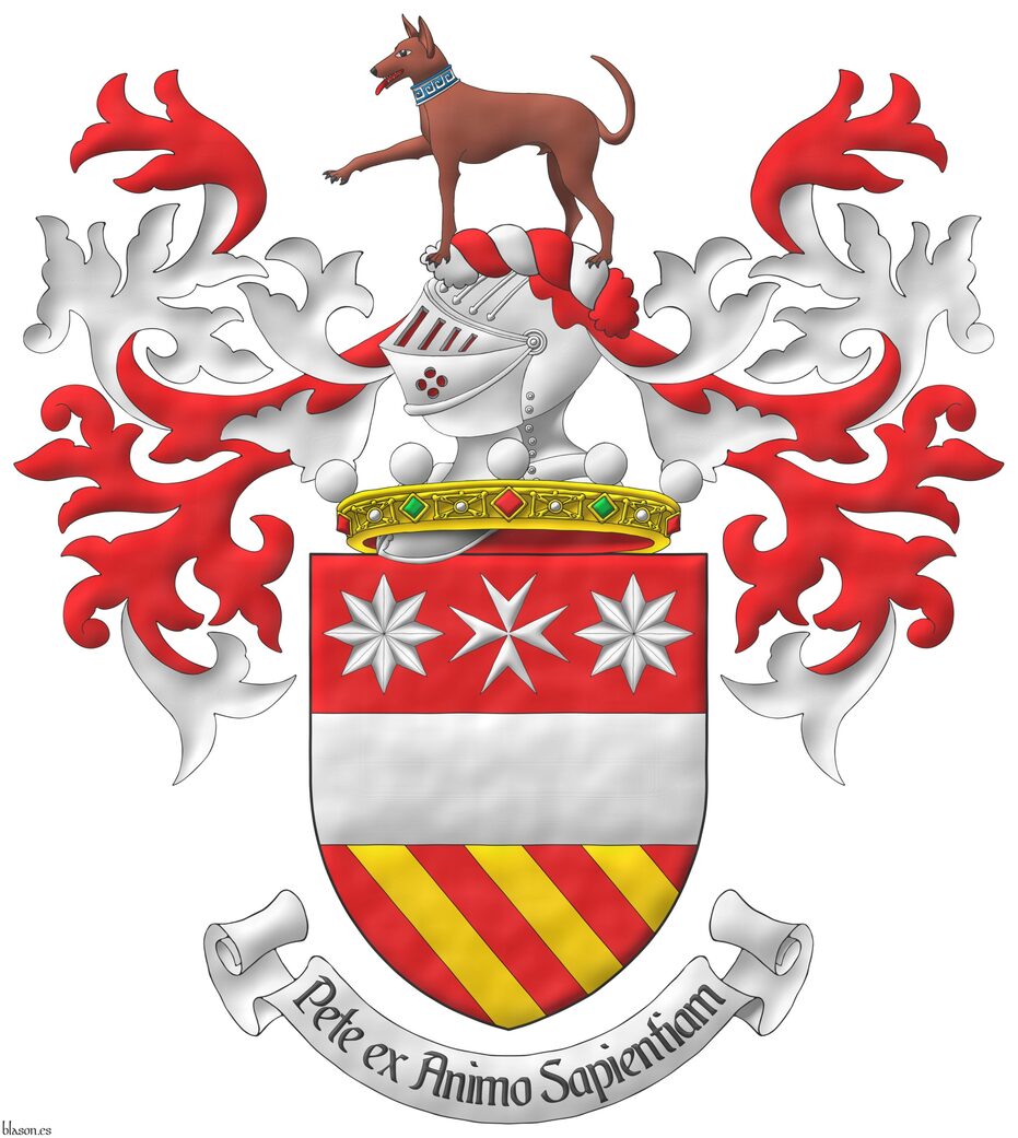 Escudo de gules, una faja acompaada en jefe de una cruz de malta acompaada de dos estrellas de ocho puntas todo de plata, y en punta tres cotizas de oro. Timbrado de un yelmo saliente de una corona de noble sumada al escudo y adornado de dos lambrequines de gules doblados de plata, un burelete de plata y gules, cimado de un podenco Cirneco del Etna al natural, acollarado de meandros de azur y plata. Lema: Pete ex Animo Sapientiam.