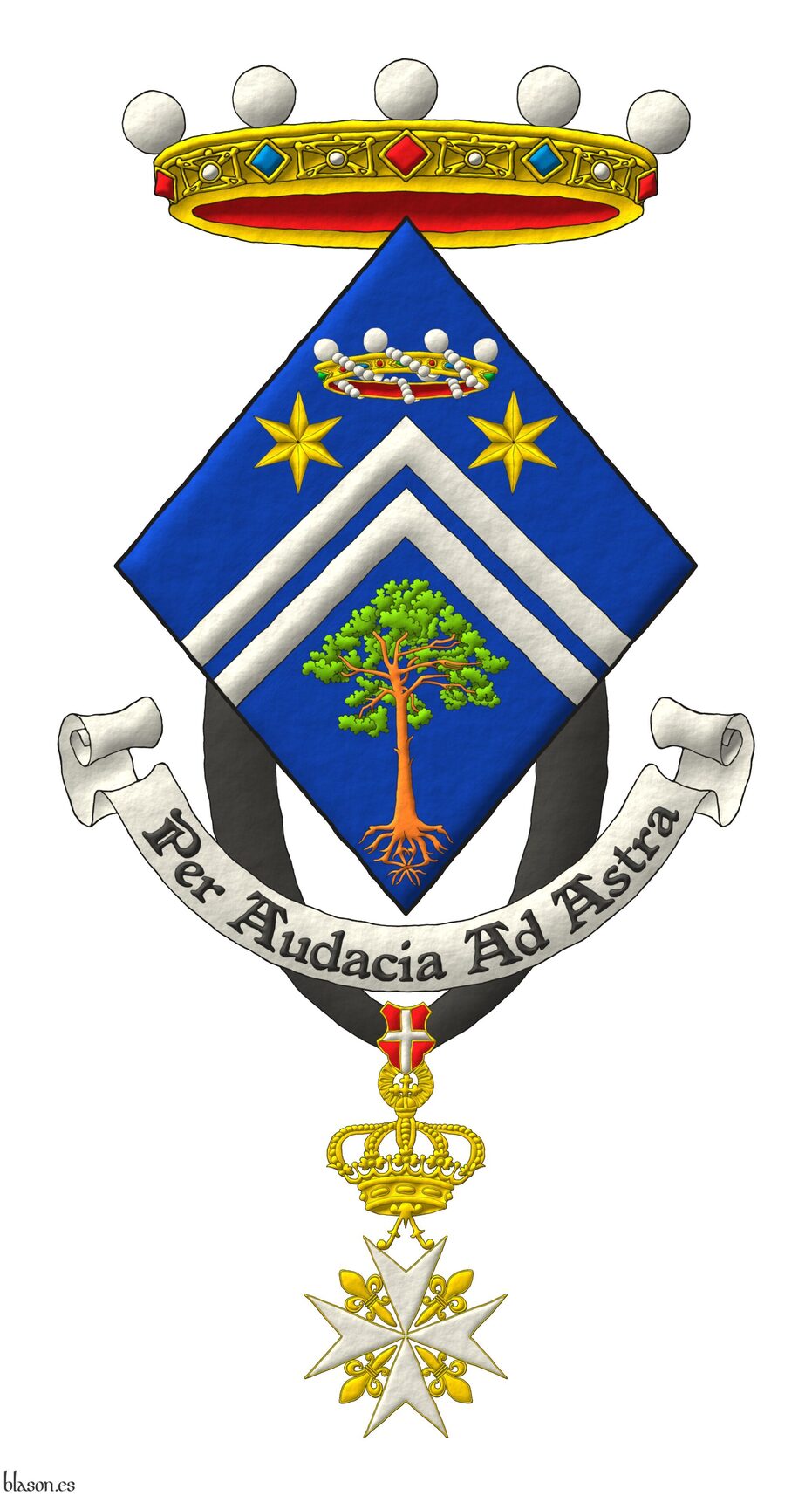 Azure, two chevronels Argent between in chief below a baronial coronet for difference two mullets of six points Or, and in base a Scots pine eradicated proper. Crest: A crown of noble. Motto: �Per audacia ad astra�. Suspended from the shield the cross of Dame of Grace and Devotion of the Sovereign Military Order of Malta.