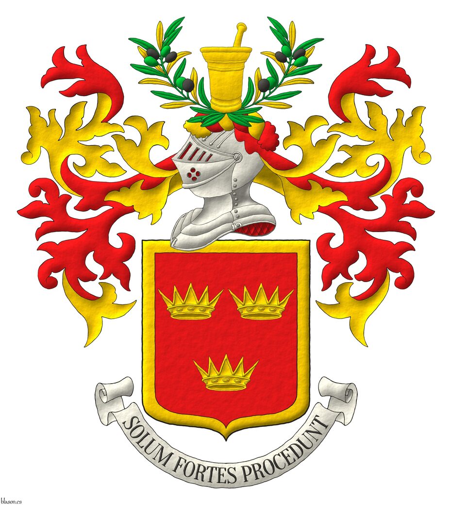 Escudo de gules, tres coronas antiguas de oro, 2 y 1, dentro de una filiera todo de oro. Timbrado de un yelmo acorde a su rango, adornado de dos lambrequines de gules doblados de oro, un burelete de oro y gules, cimado de dos ramas de olivo de sinople, hojadas de oro y sinople, frutadas de sable y sinople, sumadas de un almirez con su maja de oro. Lema: �Solum Fortes Procedunt�.