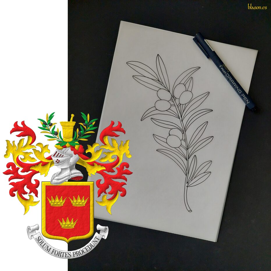 Escudo de gules, tres coronas antiguas de oro, 2 y 1, dentro de una filiera todo de oro. Timbrado de un yelmo acorde a su rango, adornado de dos lambrequines de gules doblados de oro, un burelete de oro y gules, cimado de dos ramas de olivo de sinople, hojadas de oro y sinople, frutadas de sable y sinople, sumadas de un almirez con su maja de oro. Lema: �Solum Fortes Procedunt�.