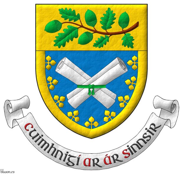 Azure, two rolled scrolls in saltire Argent, tied with a ribbon fesswise Vert; a bordure trefoiled Or; overall a chief Or charged with an oak branch leaved and fructed proper. Motto: �Cuimhnig� ar �r Sinnsir�.