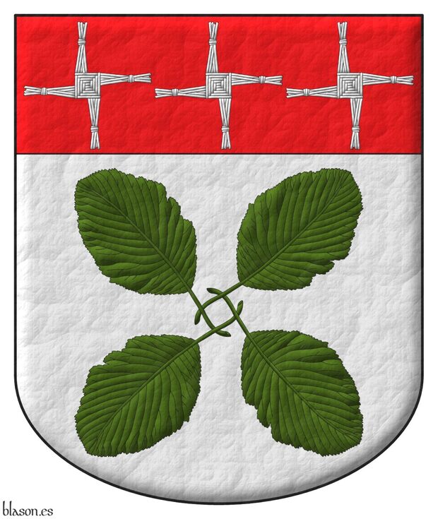 Argent, four leaves of Silver Leaved Whitebeam (Sorbus Aria Lutescens) in saltire, stems interlaced Vert, on a chief Gules, three crosses of Saint Brigid Argent.