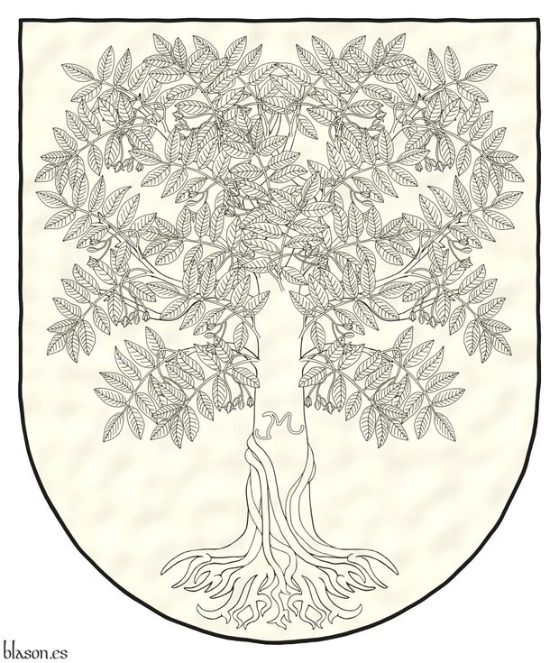 Escudo de plata, un cedro macho arrancado al natural, frutado de oro, su tronco cargado de las iniciales �JML� de oro, hechas a hierro de marcar.