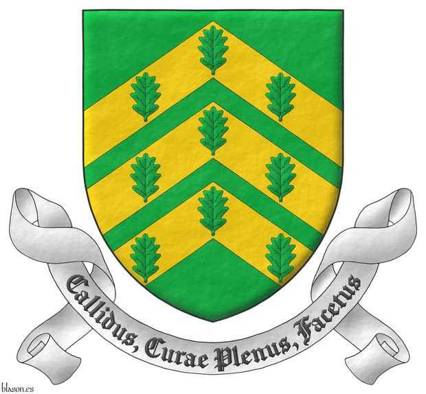 Vert, on three chevrons Or nine oak leaves Vert, 3, 3, and 3. Motto: Callidus, Curae Plenus, Facetus.