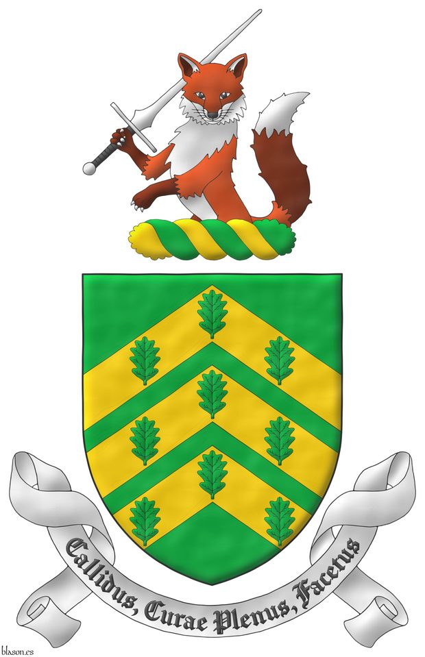 Escudo de sinople, tres cabrios de oro cargados de nueve hojas de roble de sinople, 3, 3 y 3. Timbrado de un yelmo adornado de dos lambrequines de sinople doblados de oro, un burelete de oro y sinople, cimado de un zorro saliente, guardante, teniendo en su diestra una espada feder puesta en barra, ambos al natural. Lema: Callidus, Curae Plenus, Facetus.