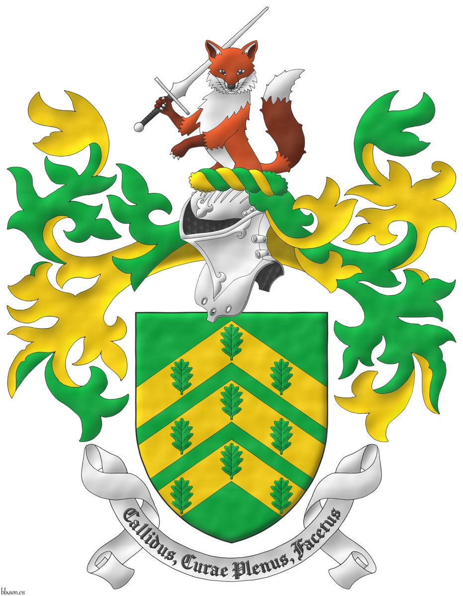Escudo de sinople, tres cabrios de oro cargados de nueve hojas de roble de sinople, 3, 3 y 3. Timbrado de un yelmo adornado de dos lambrequines de sinople doblados de oro, un burelete de oro y sinople, cimado de un zorro saliente, guardante, teniendo en su diestra una espada feder puesta en barra, ambos al natural. Lema: Callidus, Curae Plenus, Facetus.