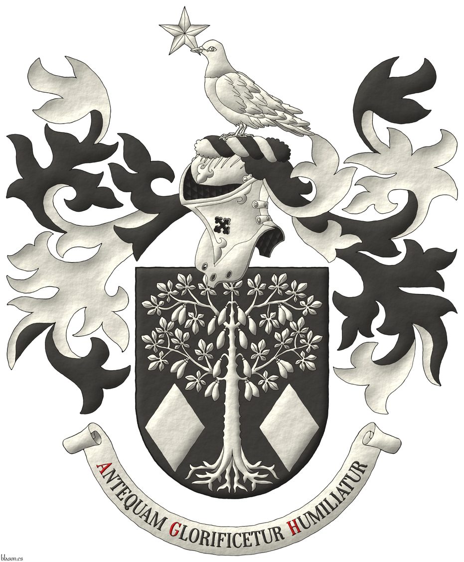 Escudo de sable, una ceiba arrancada, frutada y acompaada en punta de dos losanjes todo de plata. Timbrado de un yelmo adornado de dos lambrequines de sable doblados de plata, un burelete de plata y sable, cimado de una paloma teniendo en su pico una estrella de cinco puntas todo de plata. Lema: Antequam Glorificetur Humiliatur de sable, con letras iniciales de gules, sobre una filacteria de plata.