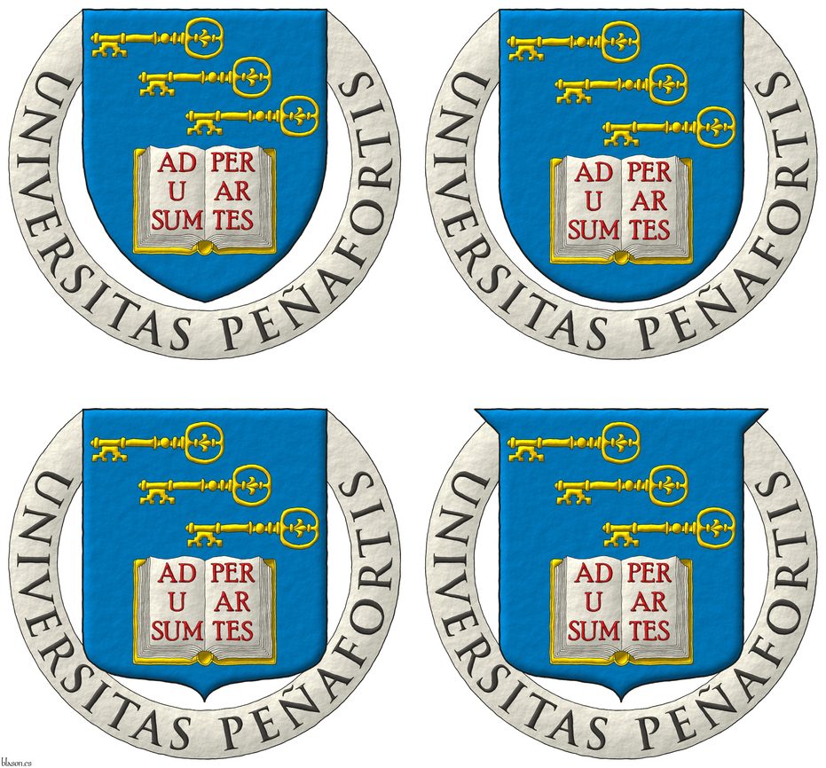 Escudo de azur, en jefe tres llaves en banda, puestas en faja, con el dentado a la diestra y abajo de oro, en punta un libro abierto de oro, hojado de plata con la inscripcin Ad usum per artes de gules. Divisa: Universitas Peafortis.