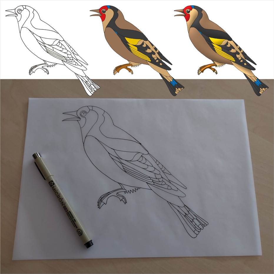 PerezBartolomeI 20 Collage jpg