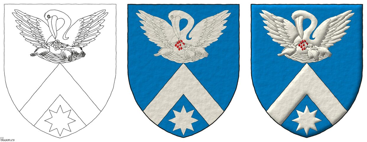Azure, a chevron in base ensigned by a pelican in her piety Argent, vulned Gules, in base a mullet of eight points Argent.