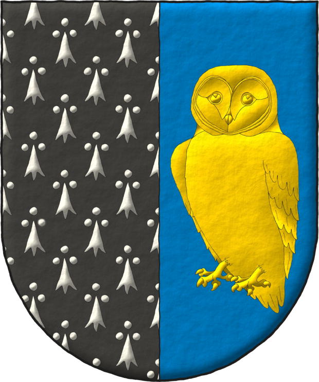 En campo de sable, colas de armiños de plata. Escudo partido: 1o contraarmiños; 2o de azur, una lechuza de oro.