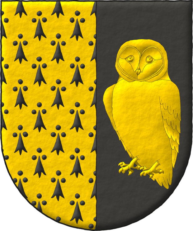 Cuando son armiños, pero ni de plata y sable, ni de sable y plata. Escudo partido: 1o armiñado de oro y sable; 2o de sable, una lechuza de oro.