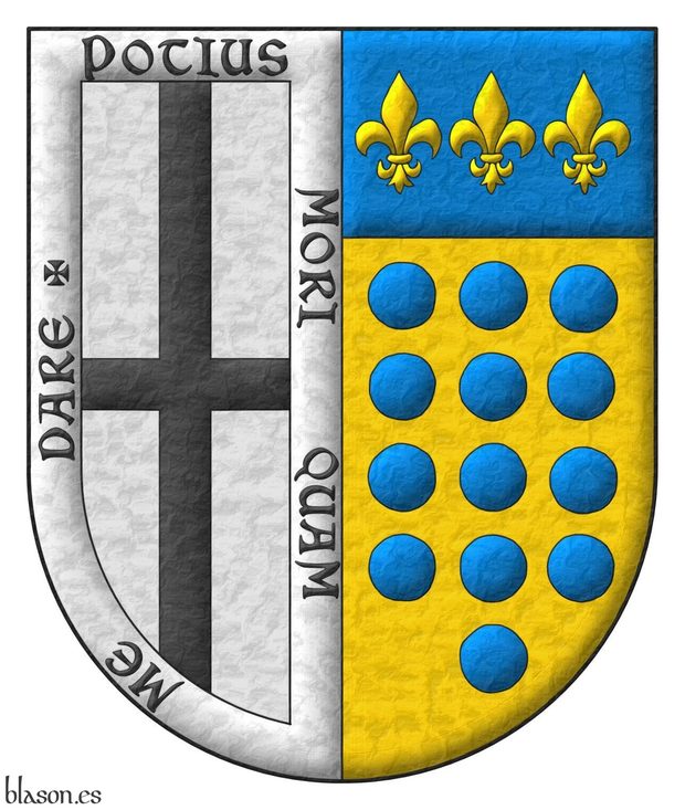 Escudo partido: 1o de plata, una cruz de sable, y una bordura de plata con el lema Potius mori quam me dare, que es de Vidriales; 2o de oro, trece roeles de azur, en tres palos de 4, 5 y 4, y el jefe de azur con tres flores de lis de oro, que es de Bustamante.