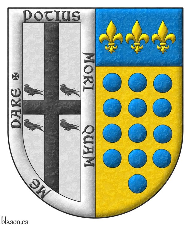 Escudo partido: 1o de plata, una cruz de sable, cantonada de cuatro marletas de lo mismo, por brisura, y una bordura de plata con el lema Potius mori quam me dare; 2o de oro, trece roeles de azur, en tres palos de 4, 5 y 4, y el jefe de azur con tres flores de lis de oro