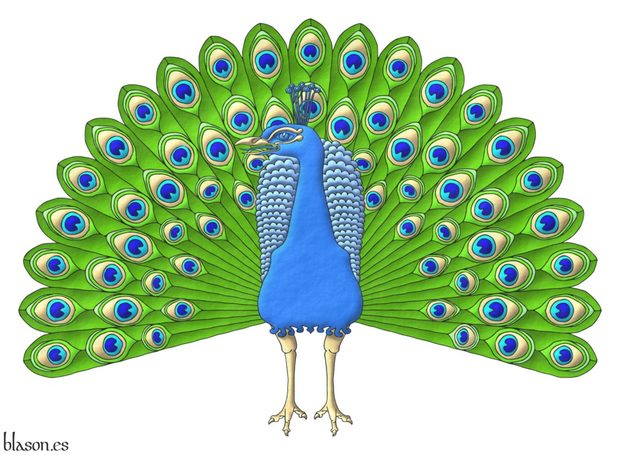 A peacock in his splendour proper.