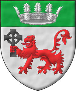 Escudo de plata, un len pasante de gules, teniendo en su diestra una cruz celta se sable, en un jefe de sinople, una corona mural con cinco hojas de roble visibles de plata.